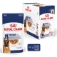 Royal Canin SHN Maxi Adult kapsičky 10x 140 g