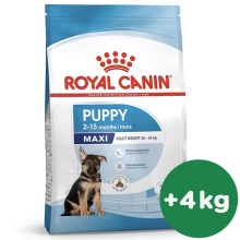 Royal Canin SHN Maxi Puppy 15 kg