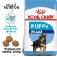 Royal Canin SHN Maxi Puppy 4 kg