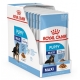 Royal Canin SHN Maxi Puppy kapsičky 10x 140 g