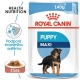 Royal Canin SHN Maxi Puppy kapsičky 10x 140 g