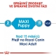 Royal Canin SHN Maxi Puppy kapsičky 10x 140 g