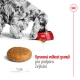Royal Canin SHN Medium Adult 4 kg