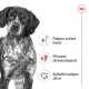 Royal Canin SHN Medium Adult 4 kg