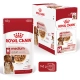 Royal Canin SHN Medium Adult kapsičky 10x 140 g