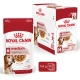 Royal Canin SHN Medium Ageing (7+) kapsičky 10x 140 g
