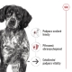 Royal Canin SHN Medium Ageing (7+) kapsičky 10x 140 g