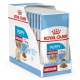 Royal Canin SHN Medium Puppy kapsičky 10x 140 g