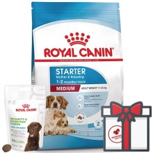 Royal Canin SHN Medium Starter Mother & Babydog 15 kg