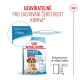 Royal Canin SHN Medium Starter Mother & Babydog 15 kg