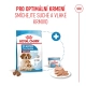 Royal Canin SHN Medium Starter Mother & Babydog 15 kg