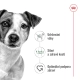 Royal Canin SHN Mini Adult 2 kg