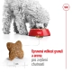 Royal Canin SHN Mini Adult 800 g