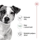 Royal Canin SHN Mini Adult kapsičky 12x 85 g