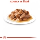 Royal Canin SHN Mini Ageing (+8) kapsičky 12x 85 g