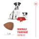 Royal Canin SHN Mini Starter Mother & Babydog 1 kg
