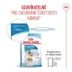 Royal Canin SHN Mini Starter Mother & Babydog 1 kg