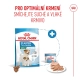 Royal Canin SHN Mini Starter Mother & Babydog 1 kg