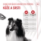 Royal Canin SHN Skin & Coat Adult Dog Supplements 240 g
