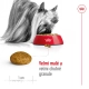 Royal Canin SHN X-Small Adult 3 kg