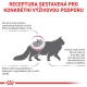 Royal Canin VHN Feline Renal 400 g