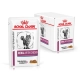 Royal Canin VHN Feline Renal Chicken kapsičky 12x 85 g