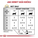 Royal Canin VHN Feline Urinary S/O Gravy kapsičky 12x 85 g