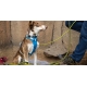 Ruffwear Flagline postroj Lichen Green veľ. L/XL