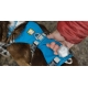 Ruffwear Flagline postroj Lichen Green veľ. L/XL