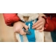 Ruffwear Flagline postroj Lichen Green veľ. L/XL