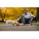 Ruffwear Flagline postroj Lichen Green veľ. L/XL