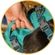 Ruffwear Flagline postroj Lichen Green veľ. M