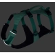 Ruffwear Flagline postroj Sage Green veľ. M