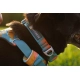 Ruffwear Front Range obojok Spring Fade veľ. L