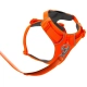 Ruffwear Front Range postroj Blaze Orange veľ. S