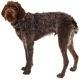 Ruffwear Front Range postroj Moonlight Mountains veľ. M