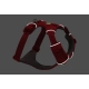 Ruffwear Front Range postroj Red Canyon veľ. XS
