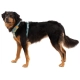 Ruffwear Front Range postroj Spring Mountains veľ. M
