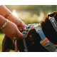 Ruffwear Front Range postroj Spring Mountains veľ. S