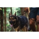 Ruffwear Front Range vodítko Coastal Fade 1,5 m