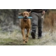 Ruffwear Gnawt-a-Stick hračka pre psy Salamander Orange 30 cm