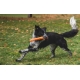 Ruffwear Gnawt-a-Stick hračka pre psy Salamander Orange 30 cm
