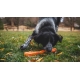 Ruffwear Gnawt-a-Stick hračka pre psy Salamander Orange 30 cm