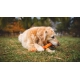 Ruffwear Gnawt-a-Stick hračka pre psy Salamander Orange 30 cm