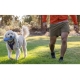 Ruffwear Gourdo hračka pre psy oranžová veľ. S