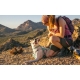 Ruffwear Hi & Light obojok Sage Green veľ. S