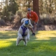 Ruffwear Huckama hračka pre psy oranžová