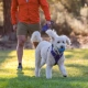 Ruffwear Huckama hračka pre psy oranžová