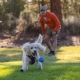 Ruffwear Huckama hračka pre psy oranžová