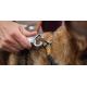 Ruffwear Roamer vodítko s amortizérom River Rock Green veľ. L